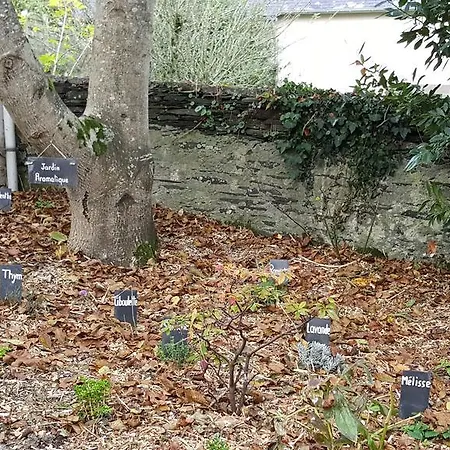 Sur La Route Des Myrtilles Gouézec Zimmer foto